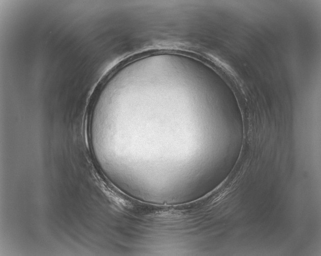 X0000060561272200511171555