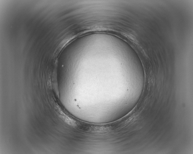 X0000060561273200511171555