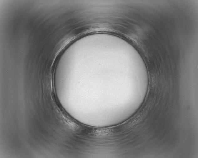 X0000060561274200511171555