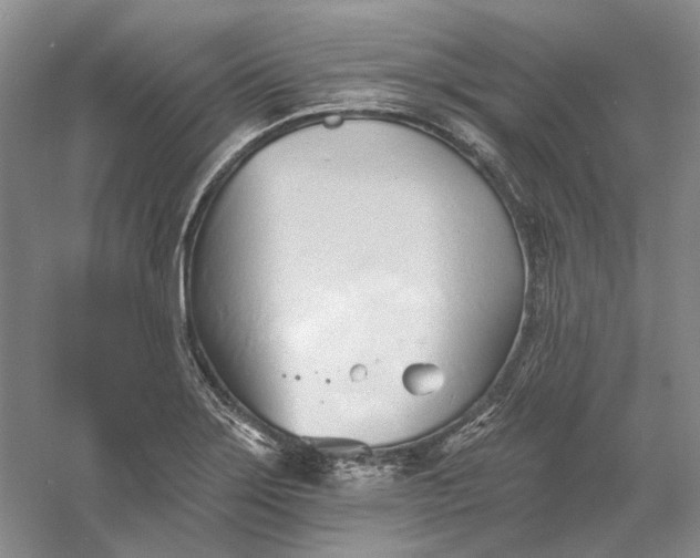 X0000060561275200511171555