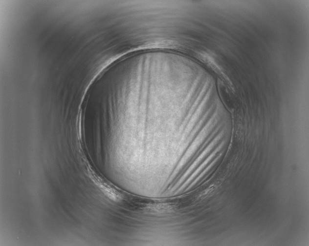 X0000060561276200511171555