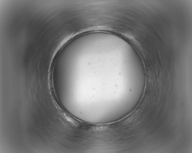 X0000060561278200511171555