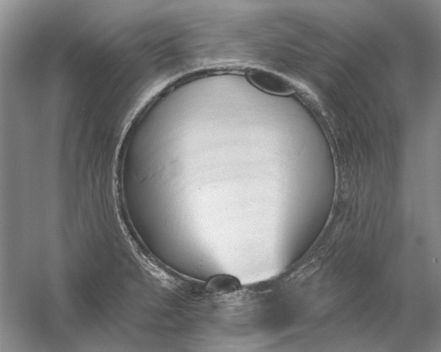 X0000060561279200511171555