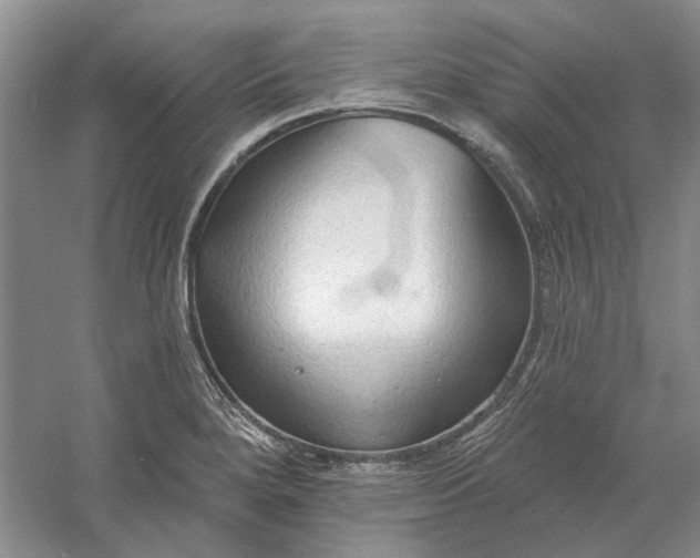 X0000060561280200511171555