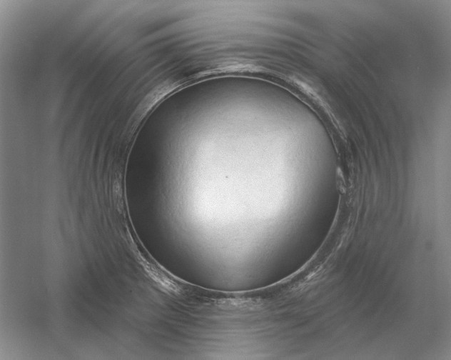 X0000060561281200511171555