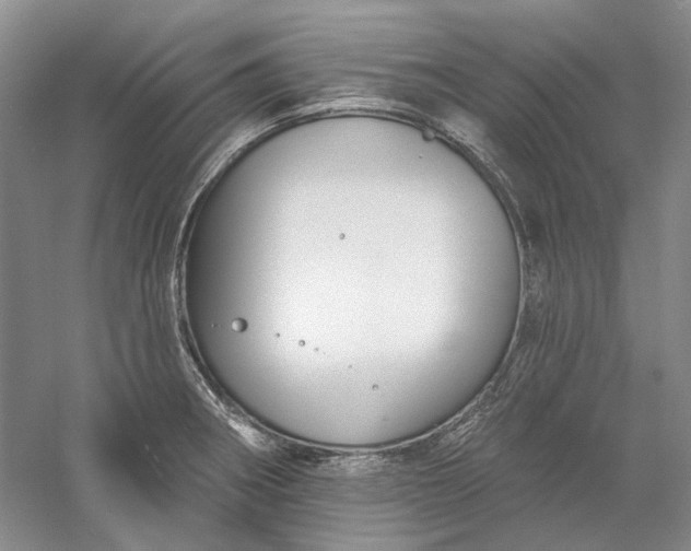 X0000060561282200511171555