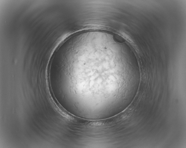 X0000060561283200511171555