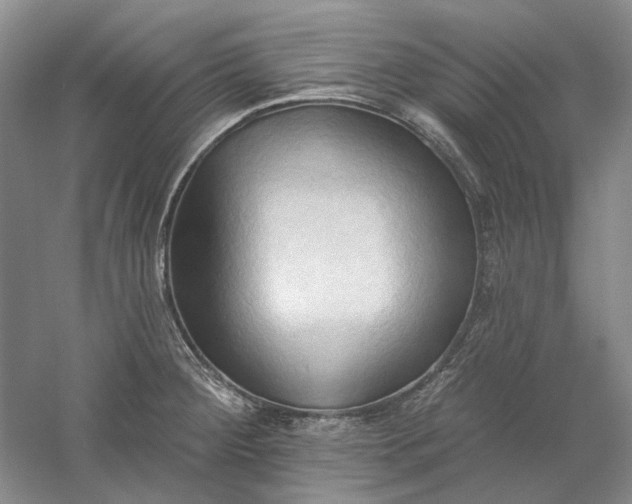 X0000060561284200511171555