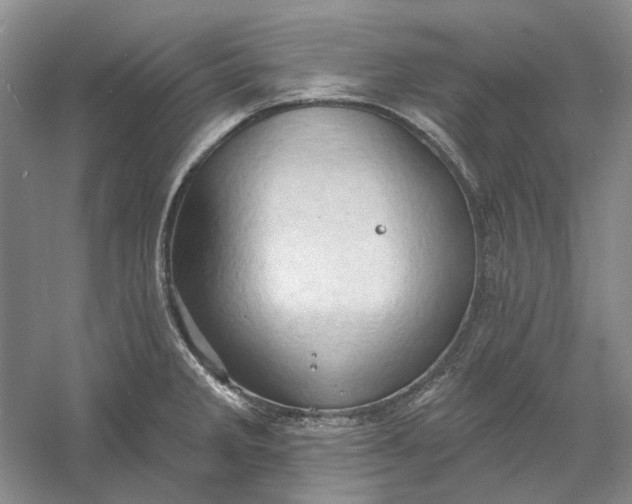 X0000060561285200511171555