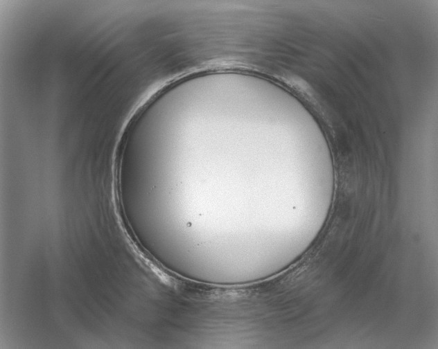 X0000060561286200511171555