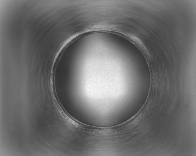 X0000060561288200511171555