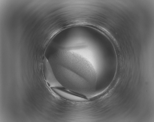 X0000060561289200511171555