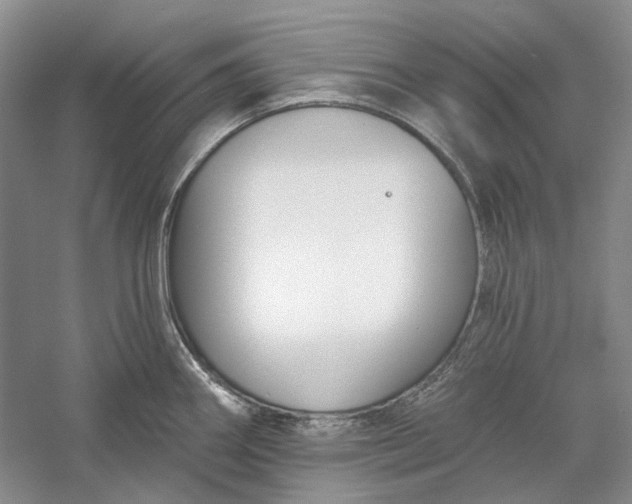 X0000060561290200511171555