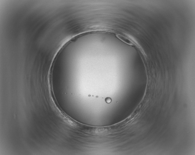 X0000060561291200511171555