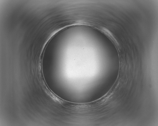 X0000060561292200511171555