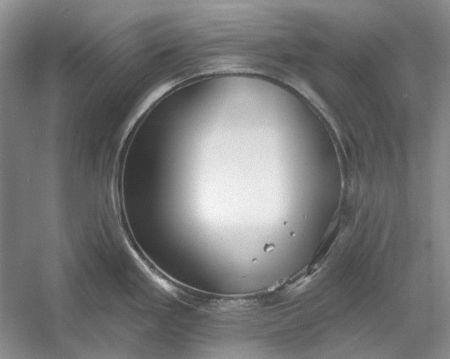 X0000060561293200511171555