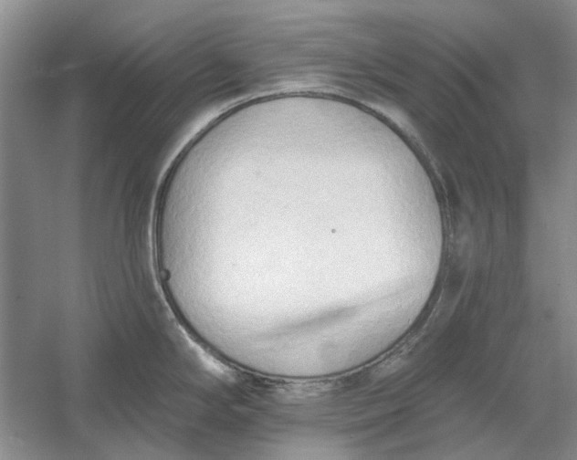 X0000060561294200511171555