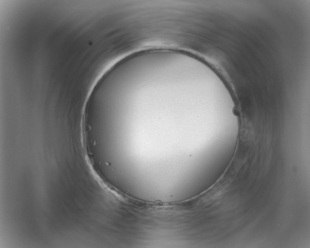 X0000060561295200511171555