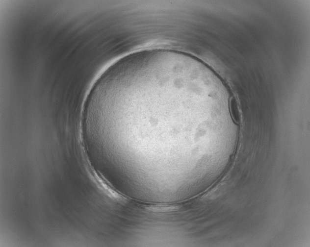 X0000060561296200511171555