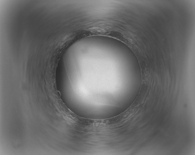 X0000060561297200511171554