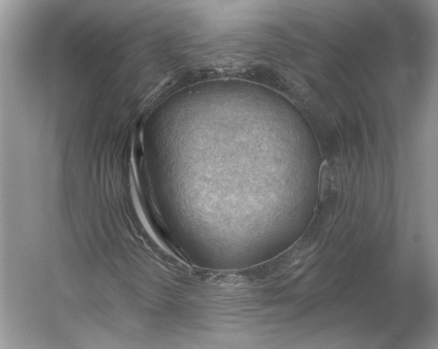 X0000060561298200511171554