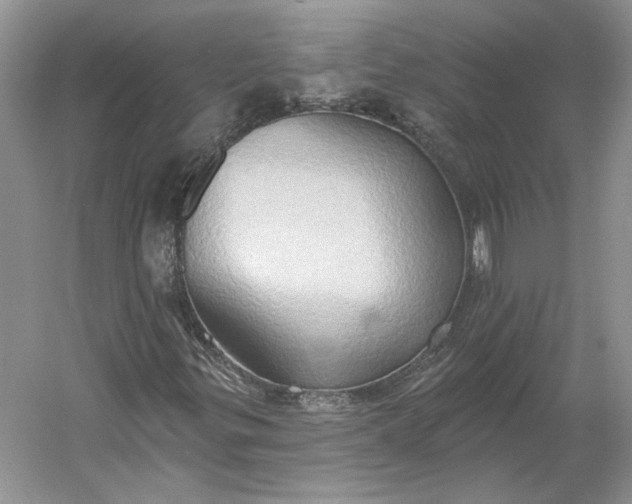 X0000060561299200511171554