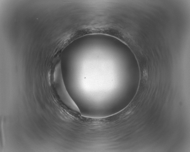 X0000060561300200511171554