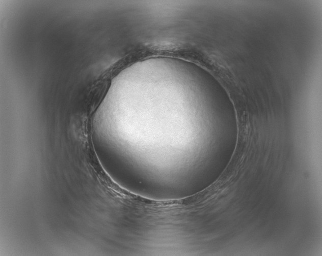 X0000060561301200511171554