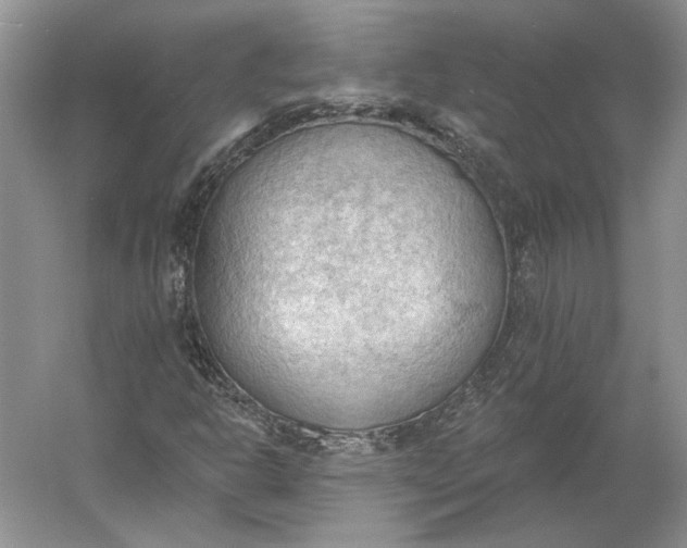 X0000060561302200511171554