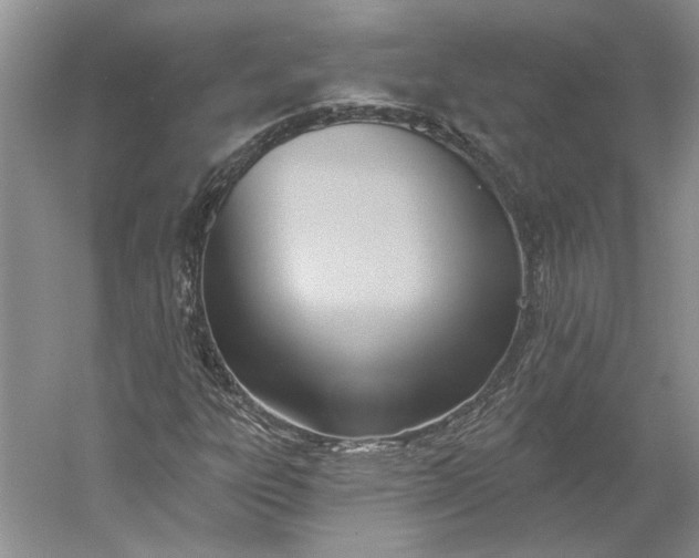 X0000060561303200511171554