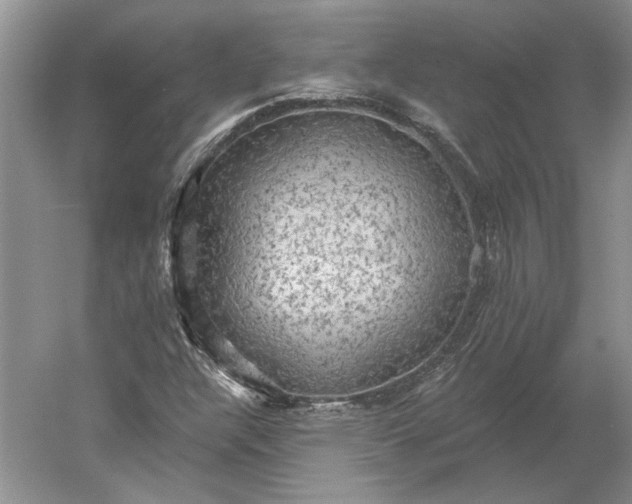 X0000060561304200511171554