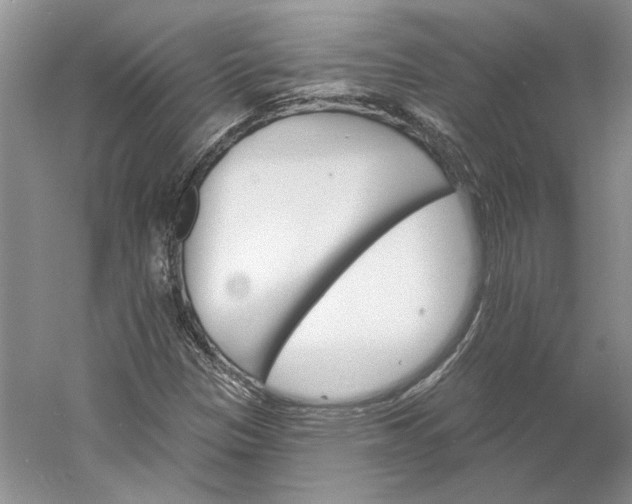 X0000060561305200511171554