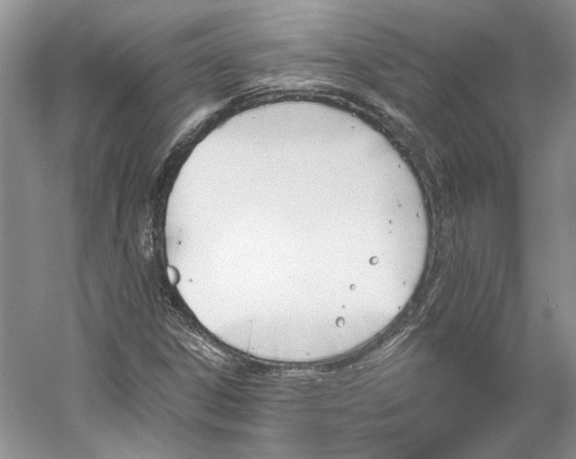 X0000060561306200511171554