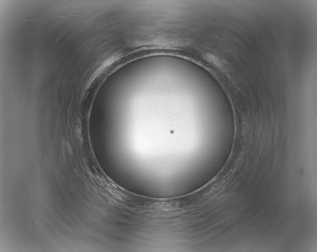 X0000060561307200511171554