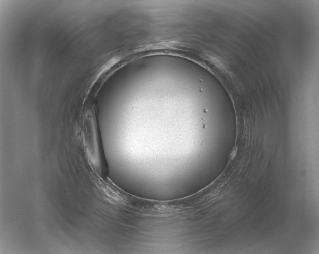 X0000060561308200511171554