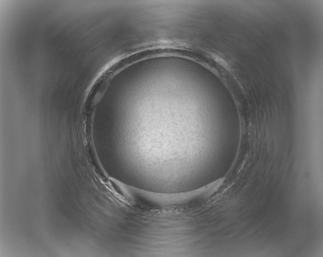 X0000060561310200511171554