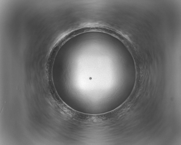 X0000060561311200511171555