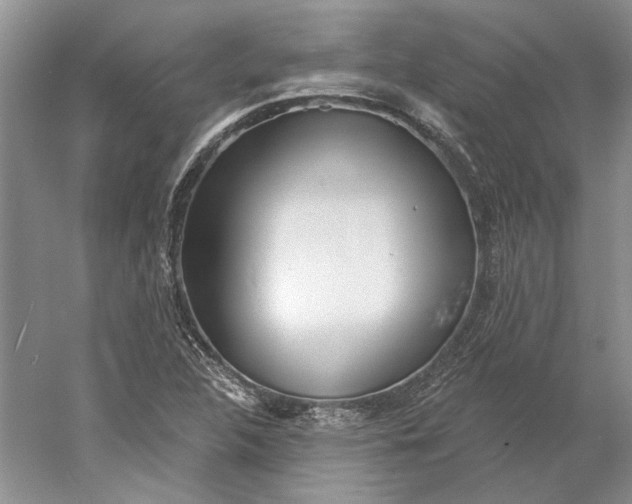 X0000060561312200511171555