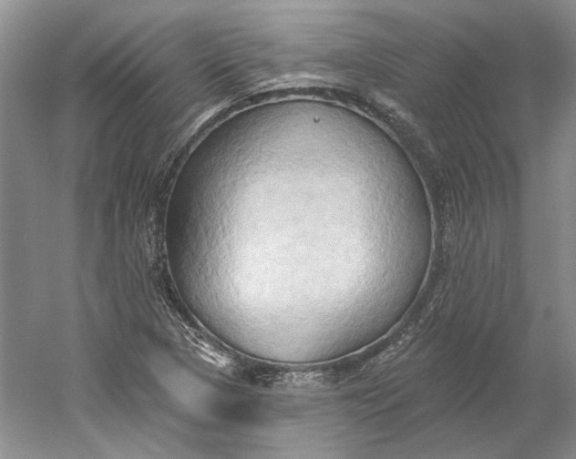 X0000060561313200511171555