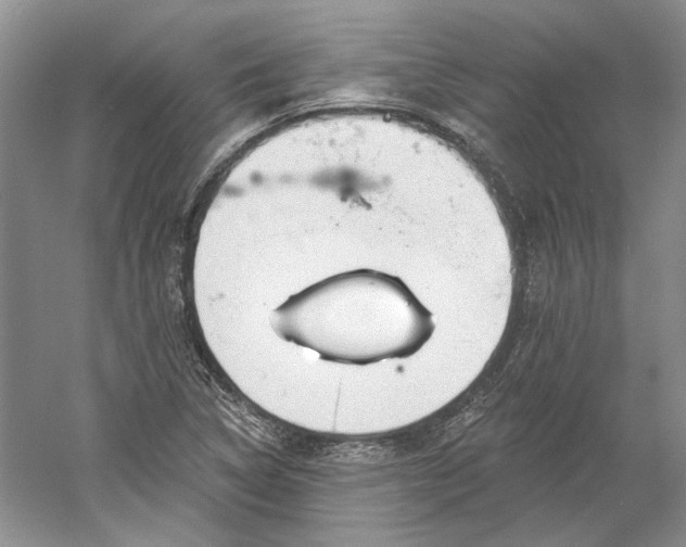 X0000060561314200511171555