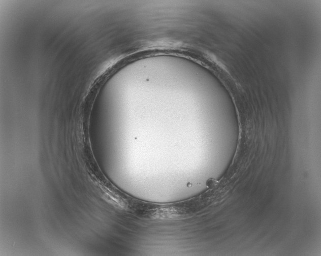 X0000060561315200511171555