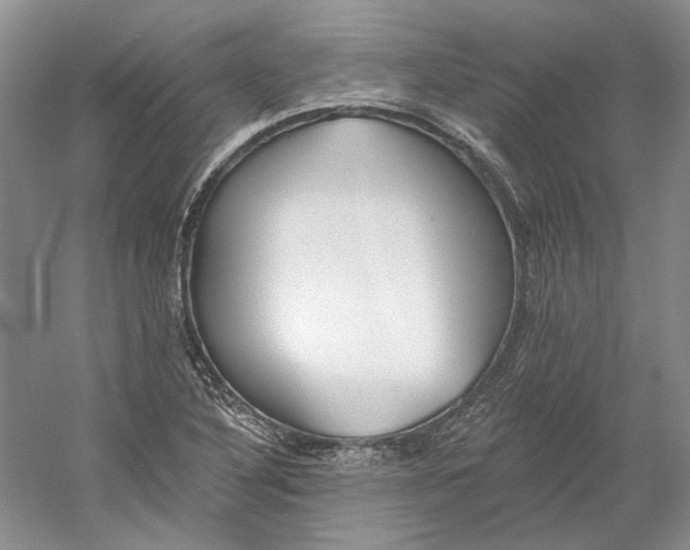 X0000060561316200511171555