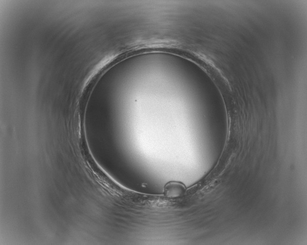 X0000060561317200511171555