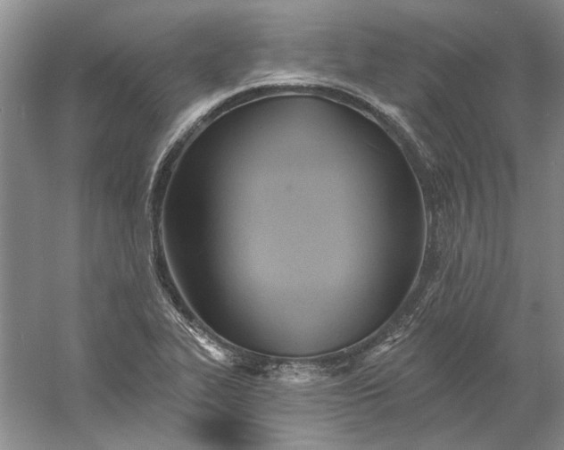 X0000060561319200511171555