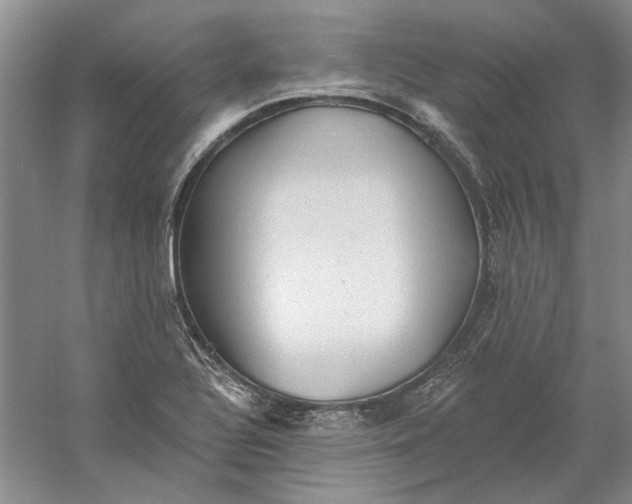 X0000060561320200511171555