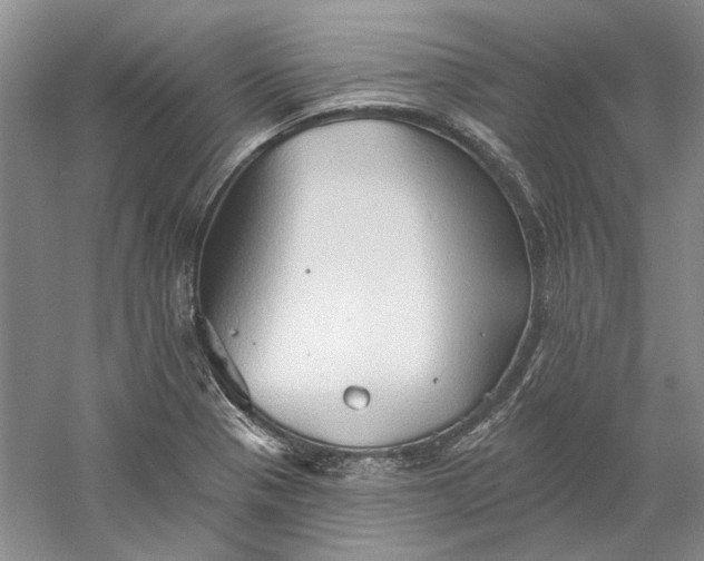 X0000060561321200511171555