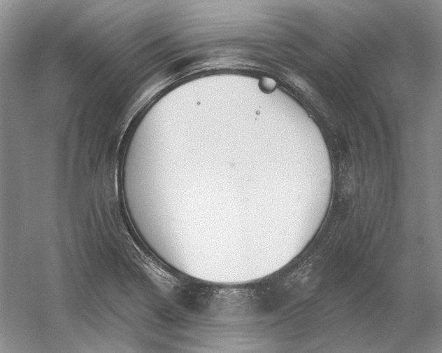 X0000060561322200511171555