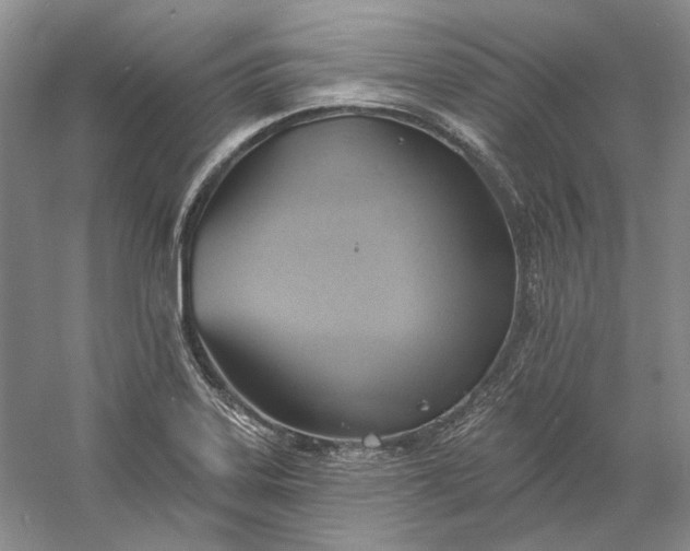 X0000060561323200511171555