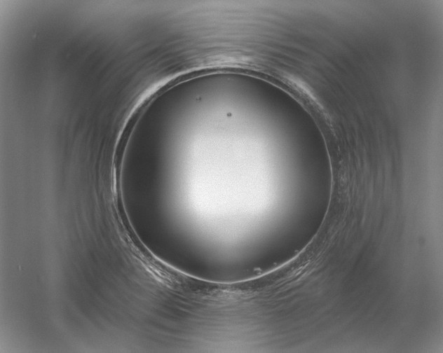 X0000060561324200511171555