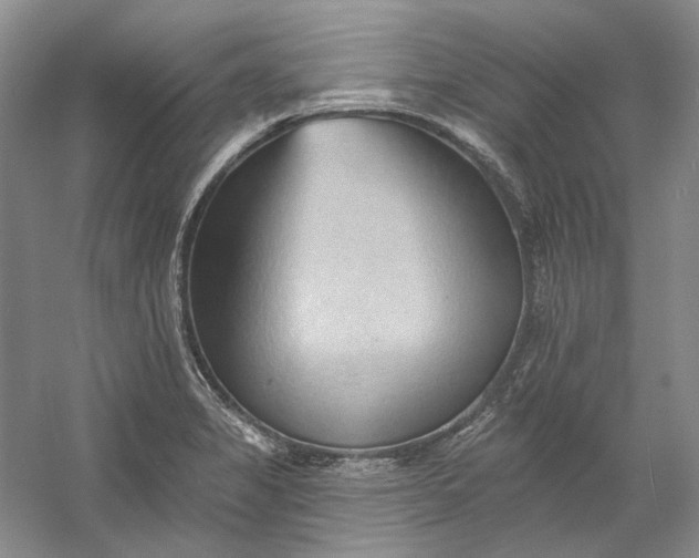 X0000060561325200511171555